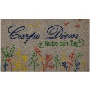 Kokos Fußmatte - 50x75cm Carpe Diem
