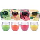 Duftkerzen im Glas "Selection" Mix 4er-Pack Fruits