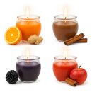 Duftkerzen im Glas "Selection" Mix 12er-Pack Winter Spice
