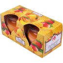HS Candle Duftkerze im Glas "Creation" 2er-Pack Mango Sorbet