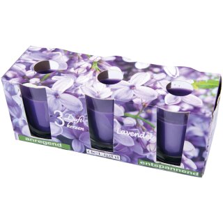 HS Candle Duftkerzen im Glas 3er-Pack Lavendel