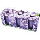 HS Candle Duftkerzen im Glas 3er-Pack Lavendel