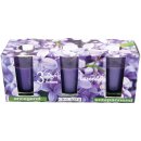 HS Candle Duftkerzen im Glas 3er-Pack Lavendel