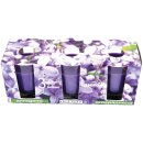 HS Candle Duftkerzen im Glas 3er-Pack Lavendel