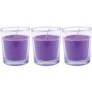 HS Candle Duftkerzen im Glas 3er-Pack Lavendel