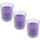 HS Candle Duftkerzen im Glas 3er-Pack Lavendel