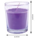 HS Candle Duftkerzen im Glas 3er-Pack Lavendel