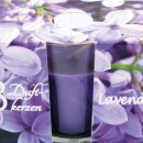 HS Candle Duftkerzen im Glas 3er-Pack Lavendel
