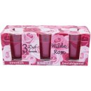 HS Candle Duftkerzen im Glas 3er-Pack Wilde Rose