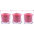 HS Candle Duftkerzen im Glas 3er-Pack Wilde Rose