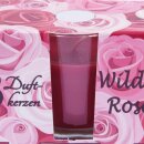 HS Candle Duftkerzen im Glas 3er-Pack Wilde Rose