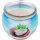 HS Candle Duftkerze im Glas 22h Coconut