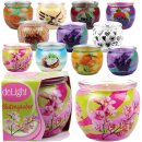 Duftkerze im Glas "Motiv" 22h Black Cherry