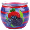 HS Candle Duftkerze im Glas 22h Mixed Berries