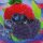 HS Candle Duftkerze im Glas 22h Mixed Berries