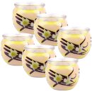 HS Candle Duftkerze im Glas 22h 6er-Pack  Vanille