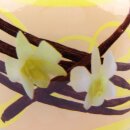 HS Candle Duftkerze im Glas 22h 6er-Pack  Vanille