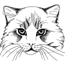 Grabkerze Weiß 170h ( Deckel Schwarz ) - Katze 2