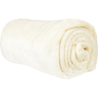 Kuscheldecke "Celina" Mikrofaser flauschig weich Champanger 60x80 cm