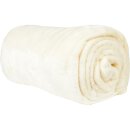 Kuscheldecke "Celina" Mikrofaser flauschig weich Champanger 130x170 cm