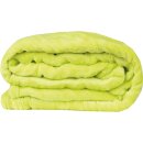 Kuscheldecke "Celina" Mikrofaser flauschig weich Grün 70x100 cm