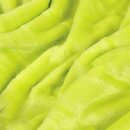 Kuscheldecke "Celina" Mikrofaser flauschig weich Grün 80x120 cm