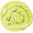 Kuscheldecke "Celina" Mikrofaser flauschig weich Grün 80x120 cm