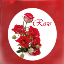 Duftkerze im Glas - Duft-Bild Bonbon klein - 10cm x Ø7 cm - Rose