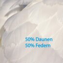 Kopfkissen Feder 40x80 cm ( 90% Feder / 10% Daune )