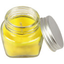 Duftkerze im Glas "Macaron" 2er-Pack Mint & Limes