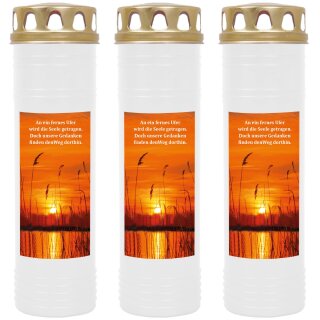4 Tage Brenner mit Motiv (Weiß) - 3er Pack Sonnenuntergang