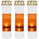 4 Tage Brenner mit Motiv (Weiß) - 3er Pack...