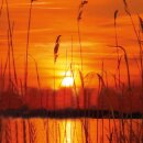4 Tage Brenner mit Motiv (Weiß) - 3er Pack Sonnenuntergang