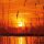 4 Tage Brenner mit Motiv (Weiß) - 3er Pack Sonnenuntergang
