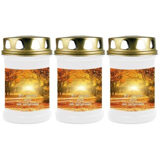 40h Brenner mit Motiv (Weiß) - 3er Pack Allee