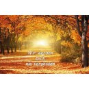 40h Brenner mit Motiv (Weiß) - 3er Pack Allee