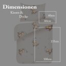 Kinderbettwäsche 2-teilig Baumwolle 100x135/40x60cm