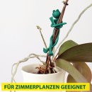 Pflanzenbinder Frosch - 2er Pack