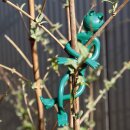 Pflanzenbinder Frosch gummiüberzogener flexibler...