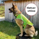 Sicherheitsweste Hunde - Grün S (35cm)