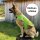Sicherheitsweste Hunde - Grün S (35cm)