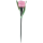Solar Stick Tulpe - 1er Pack - Rosa