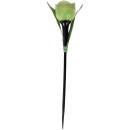 Solar Stick Tulpe - 1er Pack - Grün