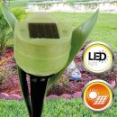 Solar Stick Tulpe - 1er Pack - Grün