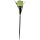 Solar Stick Tulpe - 1er Pack - Grün