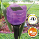 Solar Stick Tulpe - 3er Pack - Lila