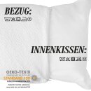 Kopfkissen mit Kühlbezug 40x80cm