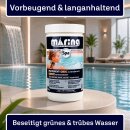 Schockgranulat Aktivsauerstoff 1,2kg – Chlorfreie...