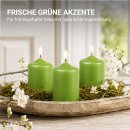 Stumpenkerzen Ø4xH6cm Grün 12er Pack