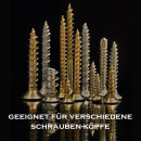 Schrauben Entferner Set 5-teilig